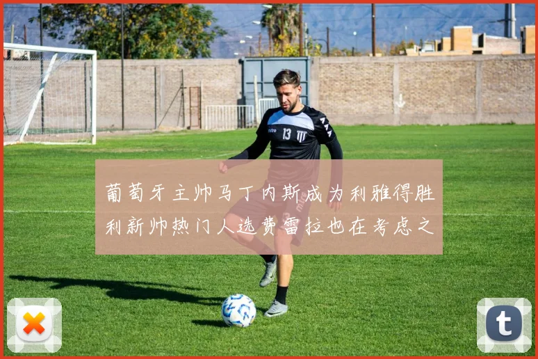葡萄牙主帅马丁内斯成为利雅得胜利新帅热门人选费雷拉也在考虑之中